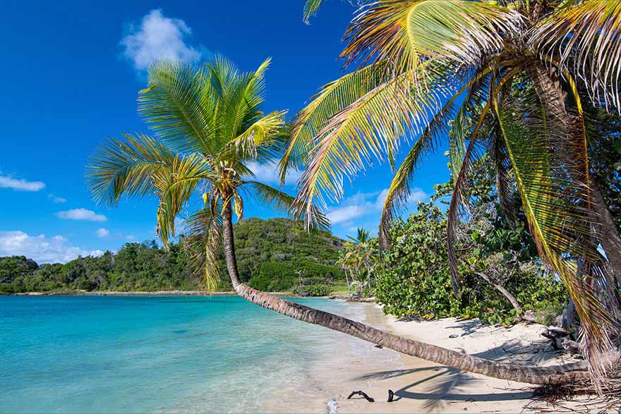 antilles crosiere successives