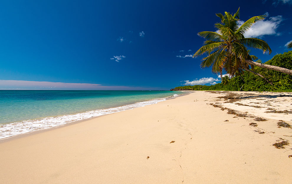 Martinique, Dominique, les Saintes